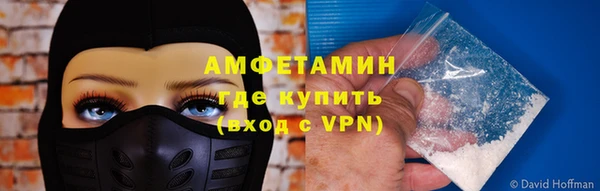 сатива Абинск