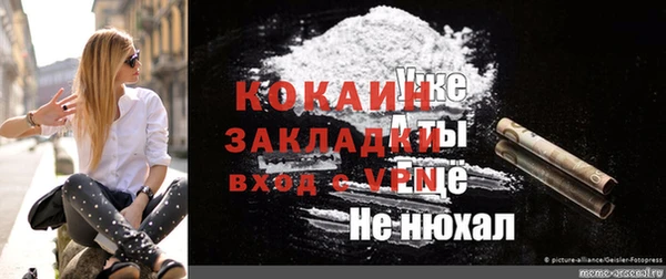 сатива Абинск