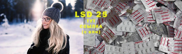 сатива Абинск